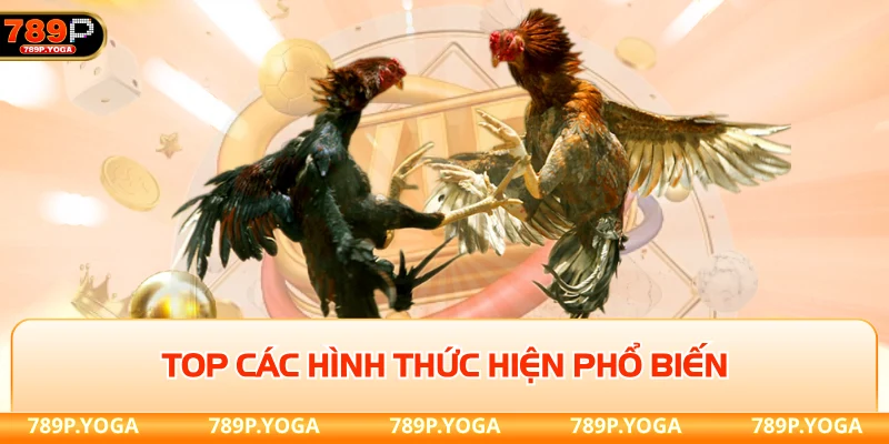 Đá gà 789P Top các hình thức hiện phổ biến về đá gà